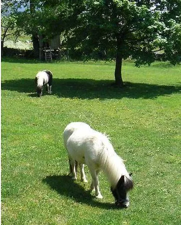 Oda ve Kahvaltı Le Moulinou